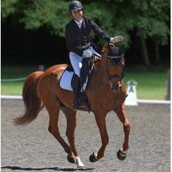 Hipposandalo Scoot Boots Hipposandalo Scoot Boots