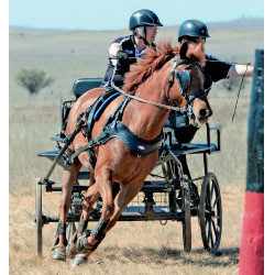 Hipposandalo Scoot Boots Hipposandalo Scoot Boots