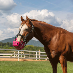Panier Greenguard Rose ancien modèle