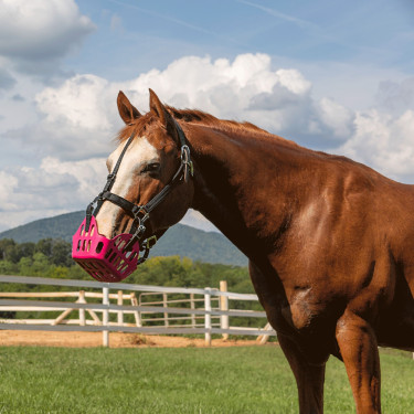 Panier Greenguard Rose ancien modèle