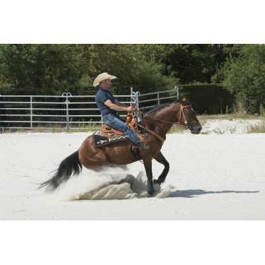 Sella Westride by Franck Perret Aurora Sella Westride by Franck Perret Aurora
