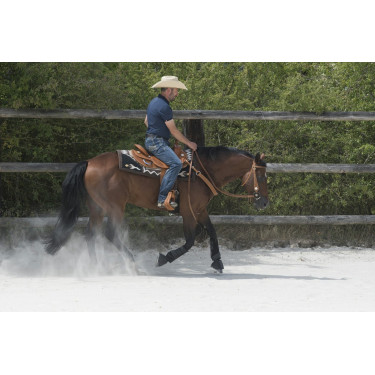 Sella Westride by Franck Perret Aurora Sella Westride by Franck Perret Aurora