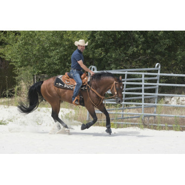 Sella Westride by Franck Perret Aurora Sella Westride by Franck Perret Aurora