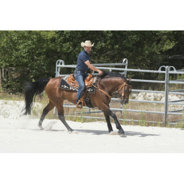 Sella Westride by Franck Perret Aurora Sella Westride by Franck Perret Aurora