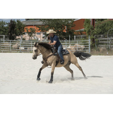 Sella Westride di Franck Perret Arvada Sella Westride di Franck Perret Arvada
