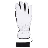 Guanto Flash Mountain Horse Argento