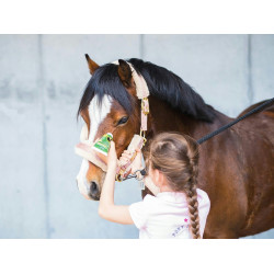 Émouchine Protec Gel Ravene con beccuccio in spugna