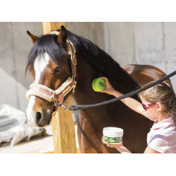 Émouchine Protec Gel Ravene vasetto + spugna Émouchine Protec Gel Ravene vasetto + spugna