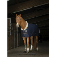 Camicia mesh Equithème Teddy Blu navy