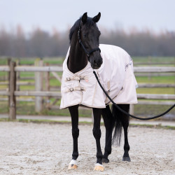 Coperta paddock cavallo 100g Imperial Riding | equitazione