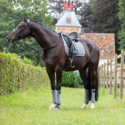 Sottosella da dressage LeMieux Carbon Mesh Square Grigio Sottosella da dressage LeMieux Carbon Mesh Square Grigio
