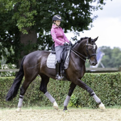 Sottosella da dressage LeMieux Carbon Mesh Square Grigio Sottosella da dressage LeMieux Carbon Mesh Square Grigio