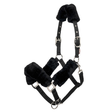 Capestro LeMieux Comfort