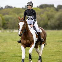 Porta pettorale da concorso LeMieux Blu benetton Porta pettorale da concorso LeMieux Blu benetton