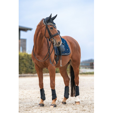 Cuffia per cavallo Night Collection Back On Track Cuffia per cavallo Night Collection Back On Track