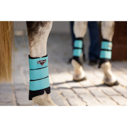 Stinchiere LeMieux Grafter Stinchiere LeMieux Grafter