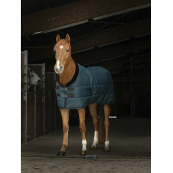 Coperta da scuderia Equithème Teddy Verde / marrone