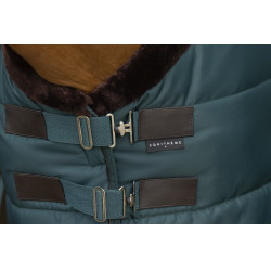 Coperta da scuderia Equithème Teddy Verde / marrone