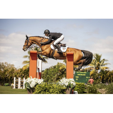 Guanti Racer® Tradition Guanti Racer® Tradition