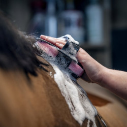 Spugna doccia cavallo LeMieux Hippo | toelettatura equitazione
