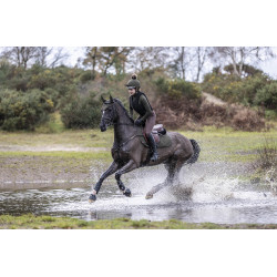 Intimo tecnico My LeMieux Verde quercia