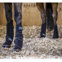 Ghette rinfrescanti LeMieux Chill (Coppia) Nero Ghette rinfrescanti LeMieux Chill (Coppia) Nero