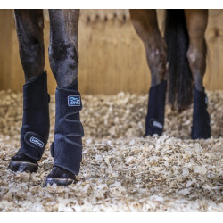 Ghette rinfrescanti LeMieux Chill (Coppia) Ghette rinfrescanti LeMieux Chill (Coppia)