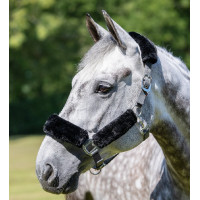 Capestro LeMieux Comfort Grigio / nero