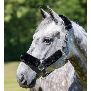 Capestro LeMieux Comfort Grigio / nero