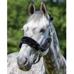 Capestro LeMieux Comfort Grigio / nero