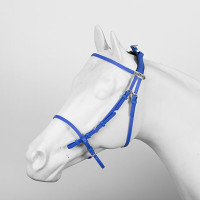 BRIDE PRO IN BETA Blu