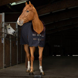 Camicia in pile Equithème Teddy