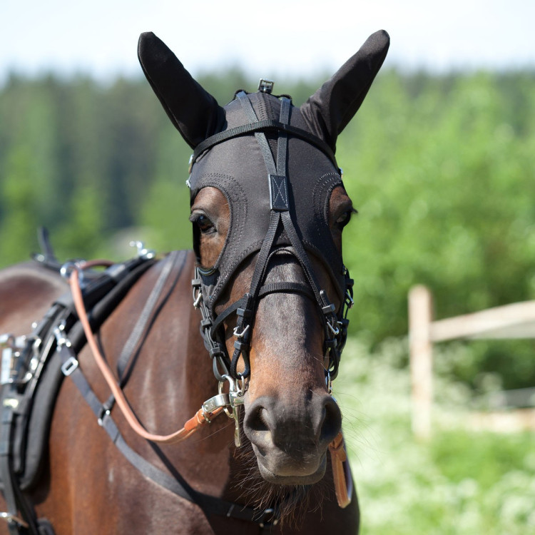 Cuffia con orecchie Finn-Tack Pro