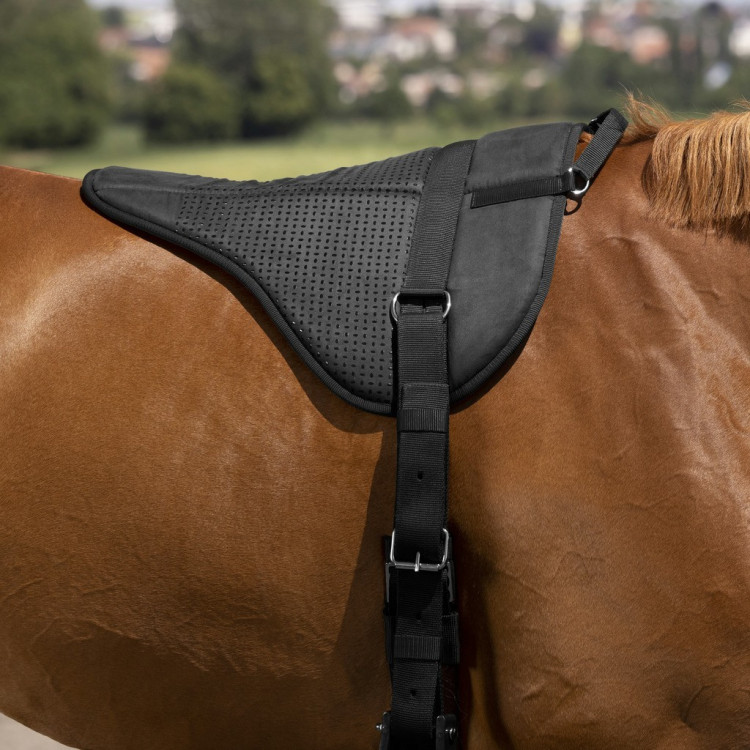 Tappeto da monta a pelo Norton Silicone