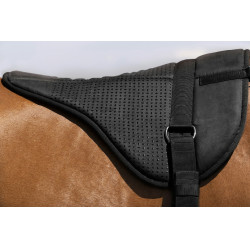 Tappeto da monta a pelo Norton Silicone Nero