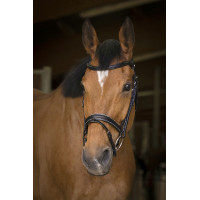 Bridon Norton Pro Rock Nero