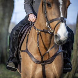 Chaps impermeabili LeMieux DryTex Stormwear Chaps impermeabili LeMieux DryTex Stormwear