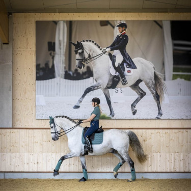 Sottosella da dressage LeMieux Carbon Mesh Square Sottosella da dressage LeMieux Carbon Mesh Square