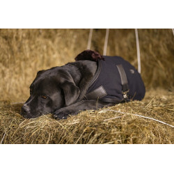 Coperta in pile Diego & Louna Teddy Coperta in pile Diego & Louna Teddy