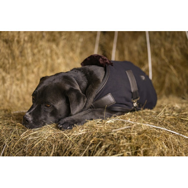 Coperta in pile Diego & Louna Teddy Coperta in pile Diego & Louna Teddy