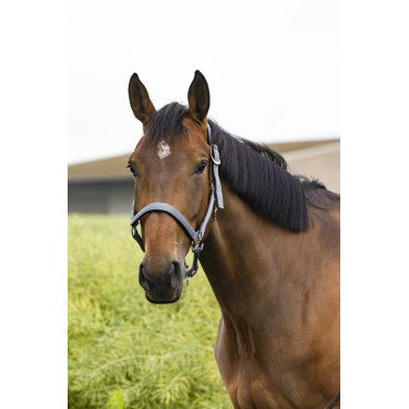 Capezzina Equithème Air Grigio