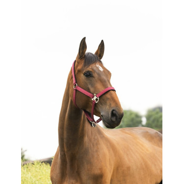 Licol Equithème Air Bordeaux Licol Equithème Air Bordeaux
