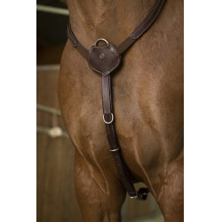 Pettorale Norton Pro Confort Pettorale Norton Pro Confort