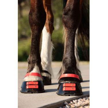 Pacco di cinghie anteriori Scoot Boots Pacco di cinghie anteriori Scoot Boots