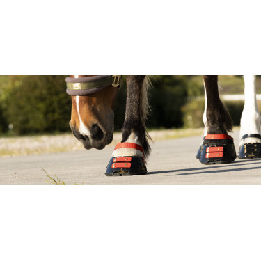 Pacco di cinghie anteriori Scoot Boots Pacco di cinghie anteriori Scoot Boots