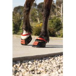 Pacco di cinghie anteriori Scoot Boots Pacco di cinghie anteriori Scoot Boots
