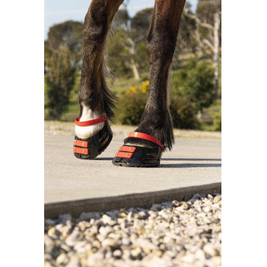 Pacco di cinghie anteriori Scoot Boots Pacco di cinghie anteriori Scoot Boots