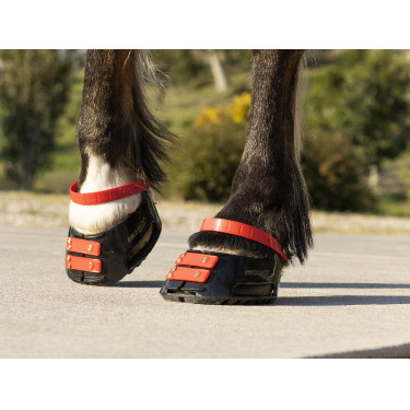 Pacco di cinghie anteriori Scoot Boots Pacco di cinghie anteriori Scoot Boots