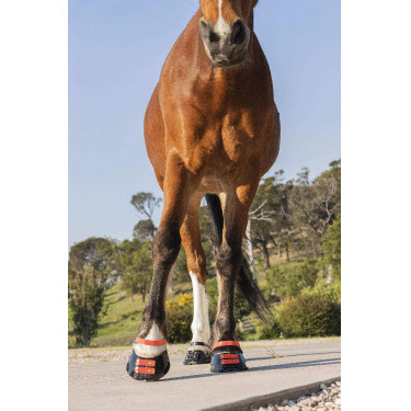 Pacco di cinghie anteriori Scoot Boots Pacco di cinghie anteriori Scoot Boots