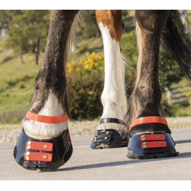 Pacco di cinghie anteriori Scoot Boots Pacco di cinghie anteriori Scoot Boots